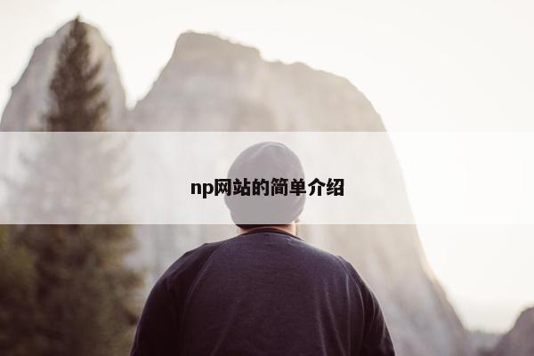 np网站的简单介绍