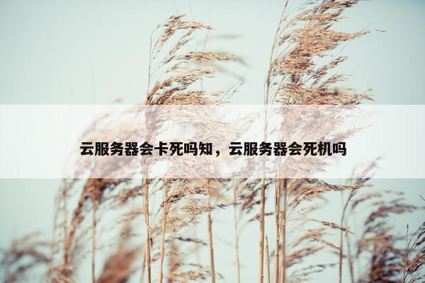 云服务器会卡死吗知，云服务器会死机吗