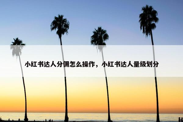 小红书达人分佣怎么操作，小红书达人量级划分
