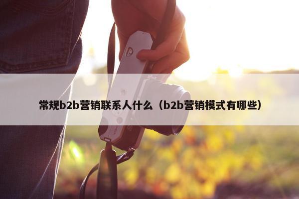 常规b2b营销联系人什么（b2b营销模式有哪些）