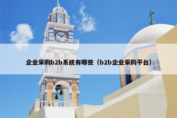 企业采购b2b系统有哪些（b2b企业采购平台）