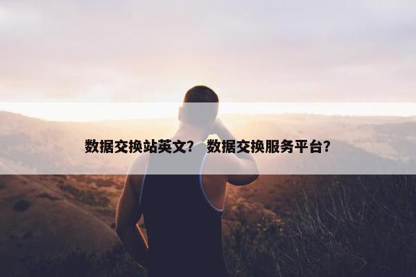 数据交换站英文？ 数据交换服务平台？