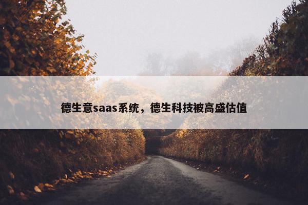 德生意saas系统，德生科技被高盛估值