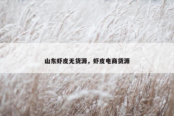 山东虾皮无货源，虾皮电商货源