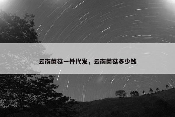 云南菌菇一件代发，云南菌菇多少钱