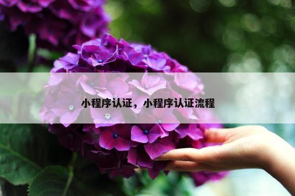 小程序认证，小程序认证流程