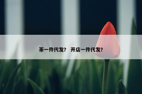 茶一件代发？ 开店一件代发？