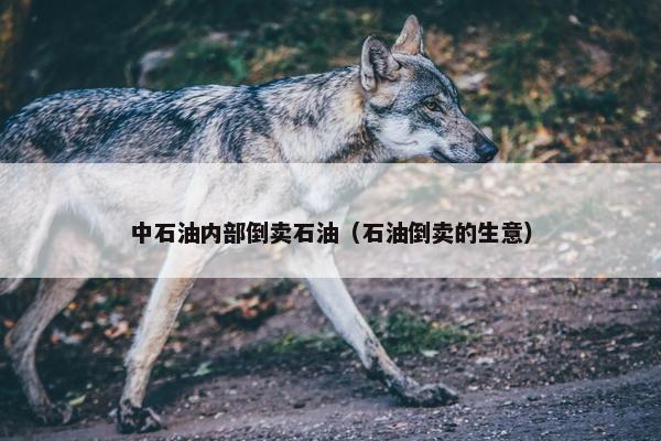 中石油内部倒卖石油（石油倒卖的生意）