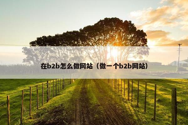 在b2b怎么做网站（做一个b2b网站）