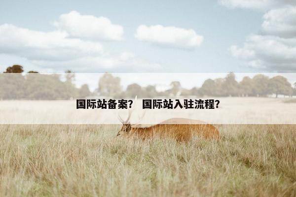 国际站备案？ 国际站入驻流程？
