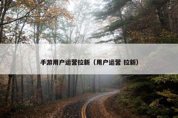 手游用户运营拉新（用户运营 拉新）