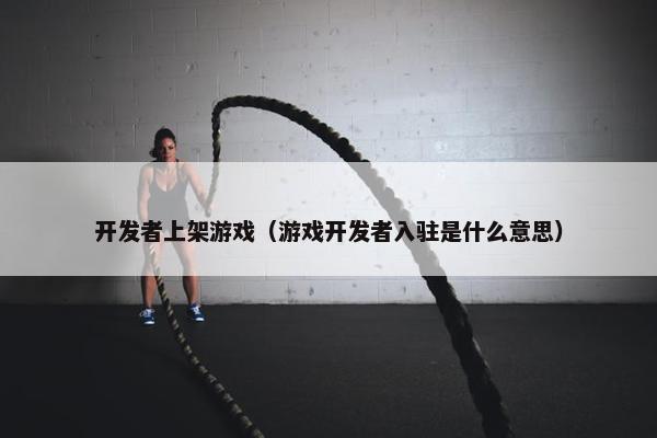 开发者上架游戏（游戏开发者入驻是什么意思）