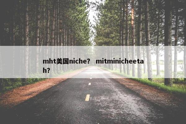 mht美国niche？ mitminicheetah？