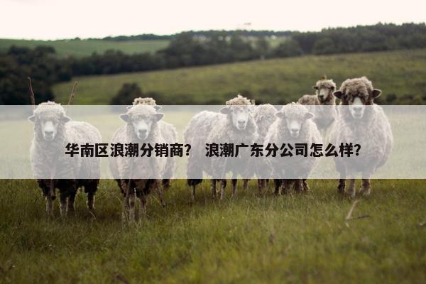 华南区浪潮分销商？ 浪潮广东分公司怎么样？