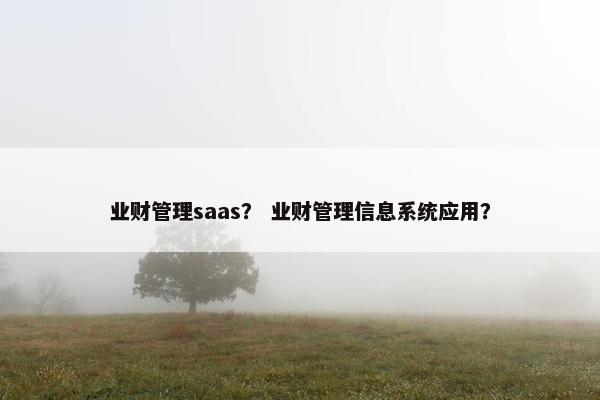 业财管理saas？ 业财管理信息系统应用？