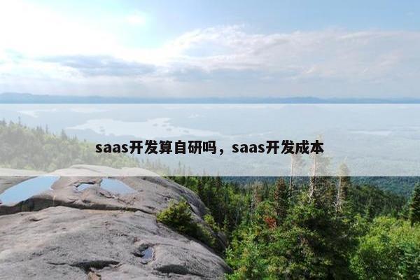 saas开发算自研吗，saas开发成本