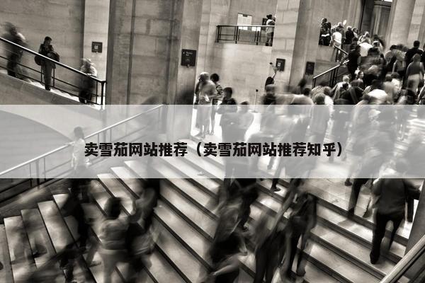 卖雪茄网站推荐（卖雪茄网站推荐知乎）