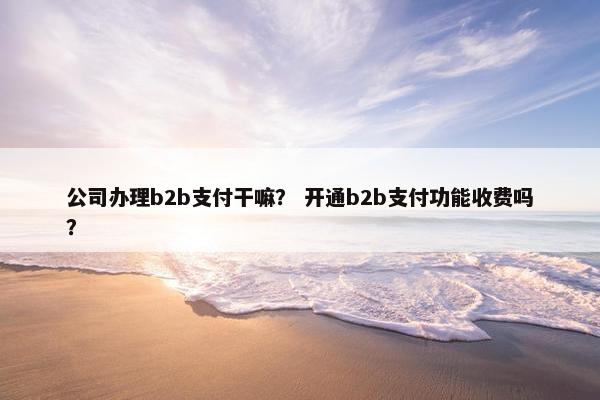 公司办理b2b支付干嘛？ 开通b2b支付功能收费吗？