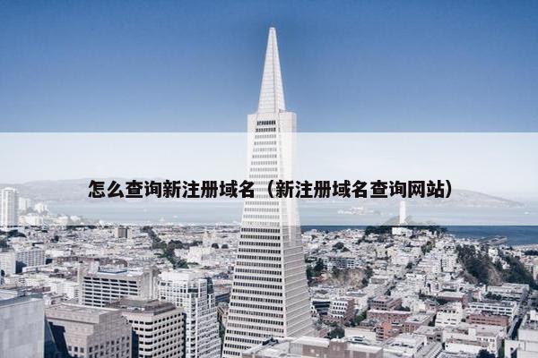 怎么查询新注册域名（新注册域名查询网站）