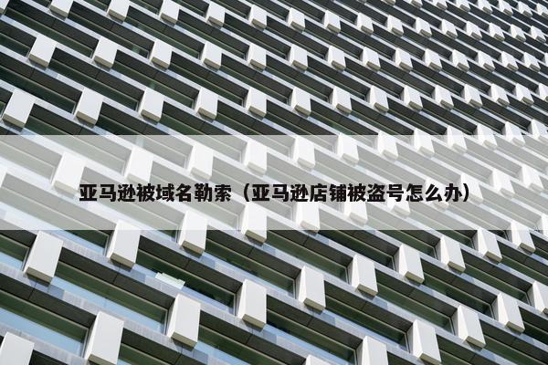 亚马逊被域名勒索（亚马逊店铺被盗号怎么办）
