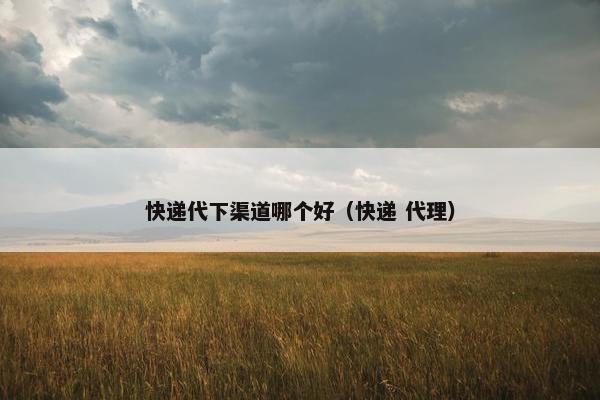 快递代下渠道哪个好（快递 代理）