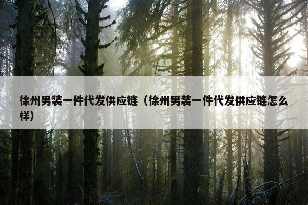徐州男装一件代发供应链（徐州男装一件代发供应链怎么样）