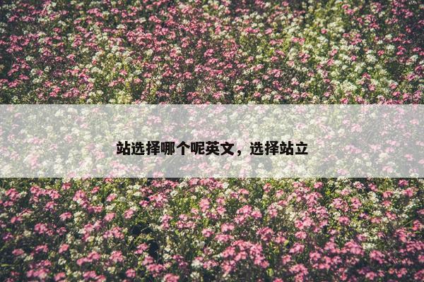 站选择哪个呢英文，选择站立