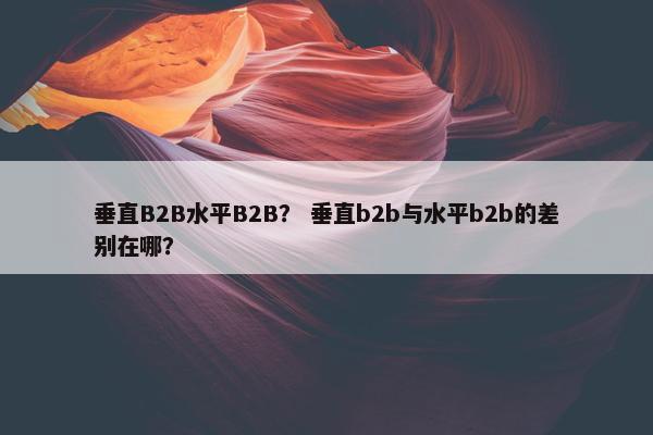 垂直B2B水平B2B？ 垂直b2b与水平b2b的差别在哪？