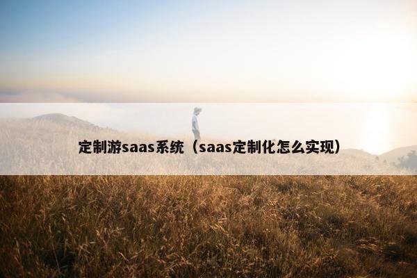 定制游saas系统（saas定制化怎么实现）