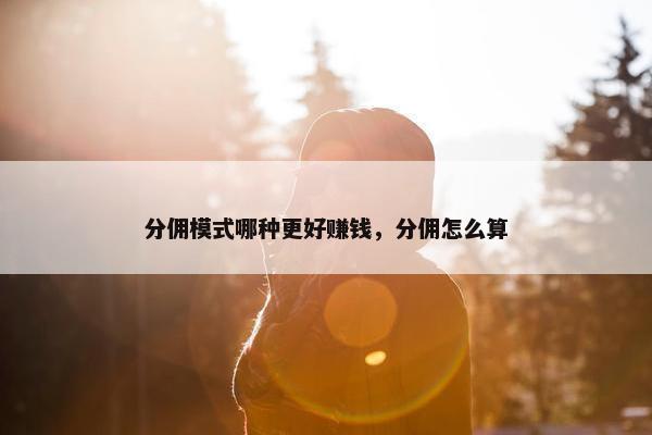 分佣模式哪种更好赚钱，分佣怎么算