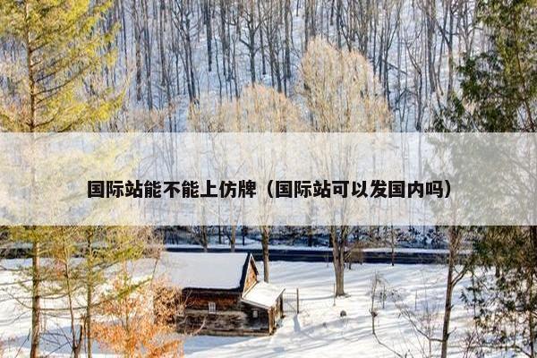 国际站能不能上仿牌（国际站可以发国内吗）