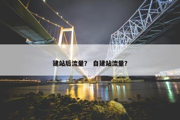 建站后流量？ 自建站流量？