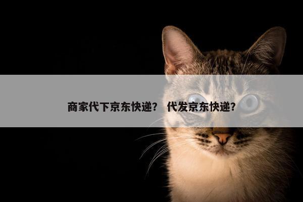 商家代下京东快递？ 代发京东快递？