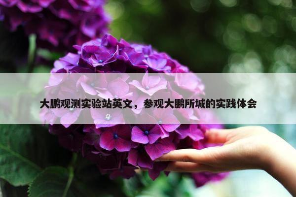 大鹏观测实验站英文，参观大鹏所城的实践体会