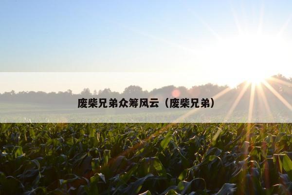 废柴兄弟众筹风云（废柴兄弟）