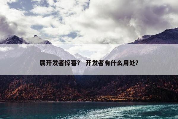 属开发者惊喜？ 开发者有什么用处？