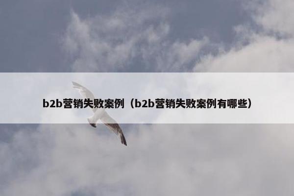 b2b营销失败案例（b2b营销失败案例有哪些）
