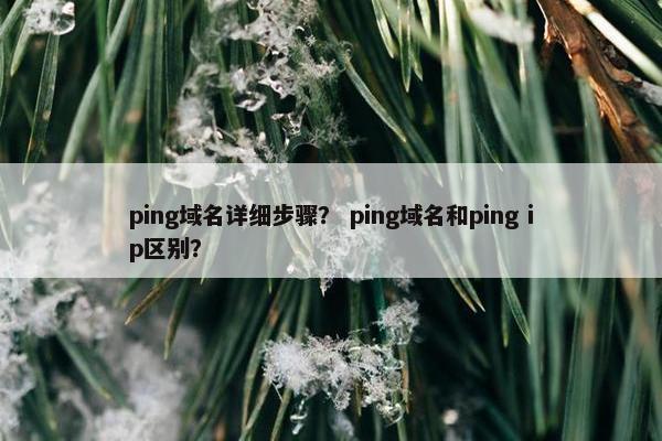 ping域名详细步骤？ ping域名和ping ip区别？