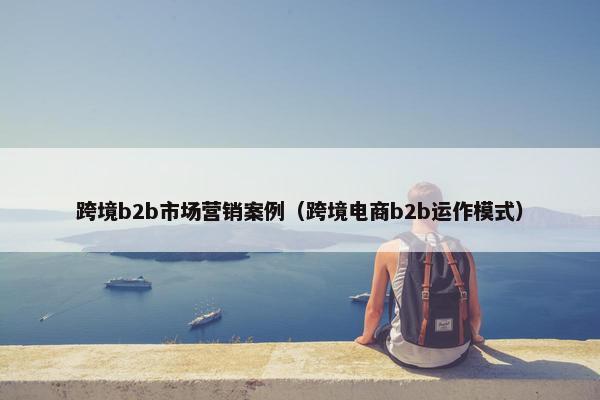跨境b2b市场营销案例（跨境电商b2b运作模式）
