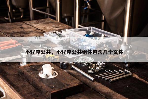 小程序公共，小程序公共组件包含几个文件
