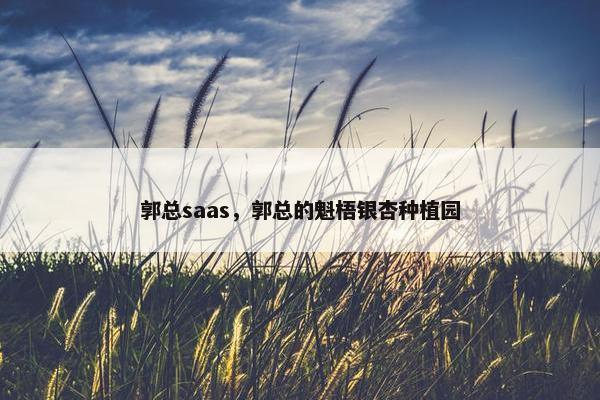 郭总saas，郭总的魁梧银杏种植园