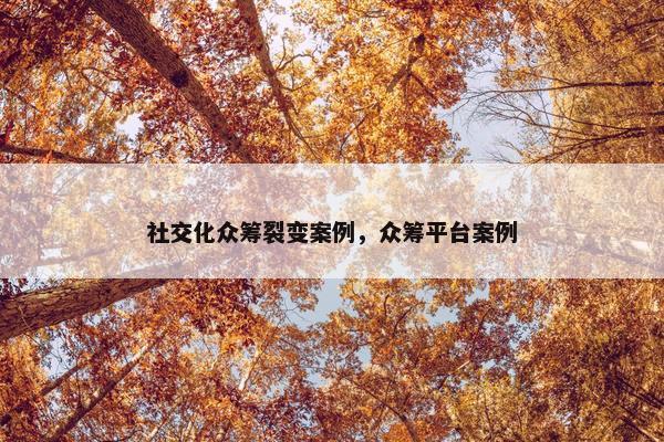 社交化众筹裂变案例，众筹平台案例