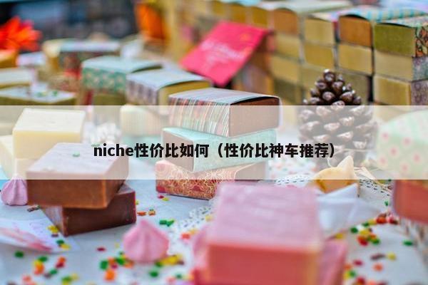 niche性价比如何（性价比神车推荐）