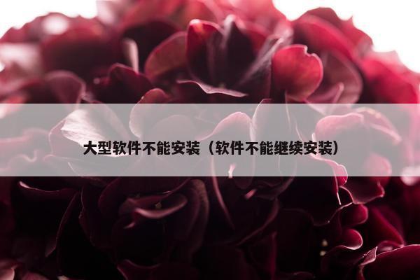 大型软件不能安装（软件不能继续安装）