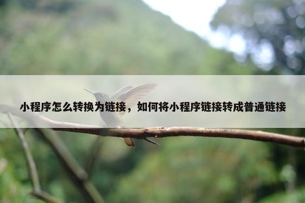 小程序怎么转换为链接，如何将小程序链接转成普通链接