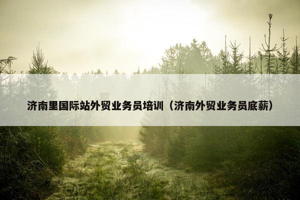 济南里国际站外贸业务员培训（济南外贸业务员底薪）