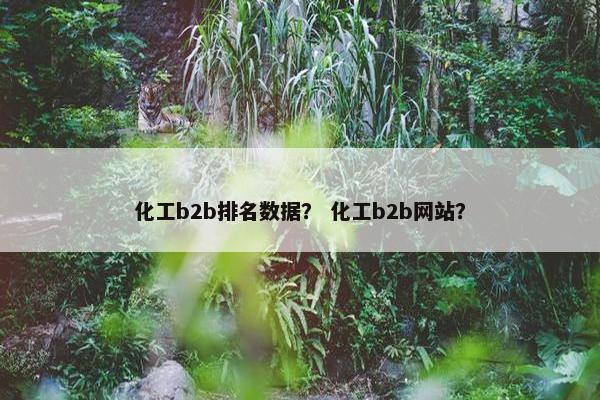 化工b2b排名数据？ 化工b2b网站？