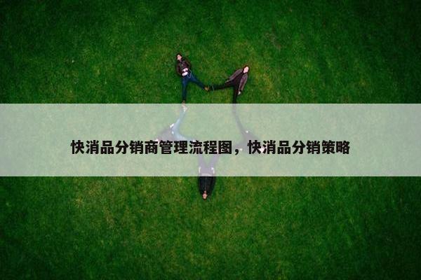 快消品分销商管理流程图，快消品分销策略