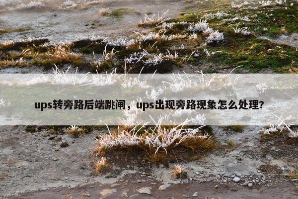 ups转旁路后端跳闸，ups出现旁路现象怎么处理?