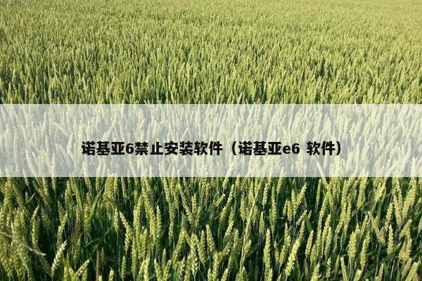 诺基亚6禁止安装软件（诺基亚e6 软件）